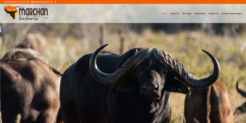 Marchan Safaris Website