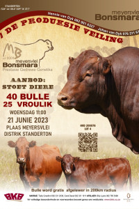 Flyer (A4) design for Meyersvlei Bonsmara by 33 Interactive Graphic Design