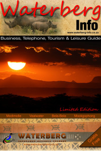 Brochure designed by 33 Interactive - Graphic Design