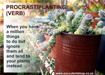 Custom content Custom content designed by 33 Interactive - Graphic Design