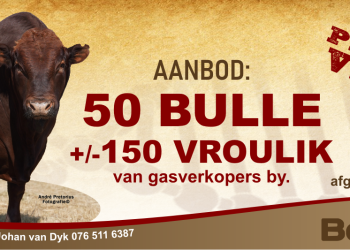 Facebook Cover Image Facebook Cover Image designed by 33 Interactive - Graphic Design