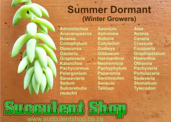 Custom content Custom content designed by 33 Interactive - Graphic Design